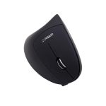 mouse (1)