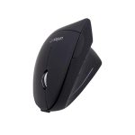 mouse (1)